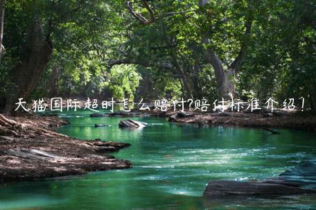 天貓國際超時(shí)怎么賠付?賠付標(biāo)準(zhǔn)介紹！